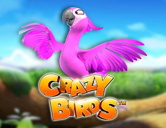 Crazy Birds